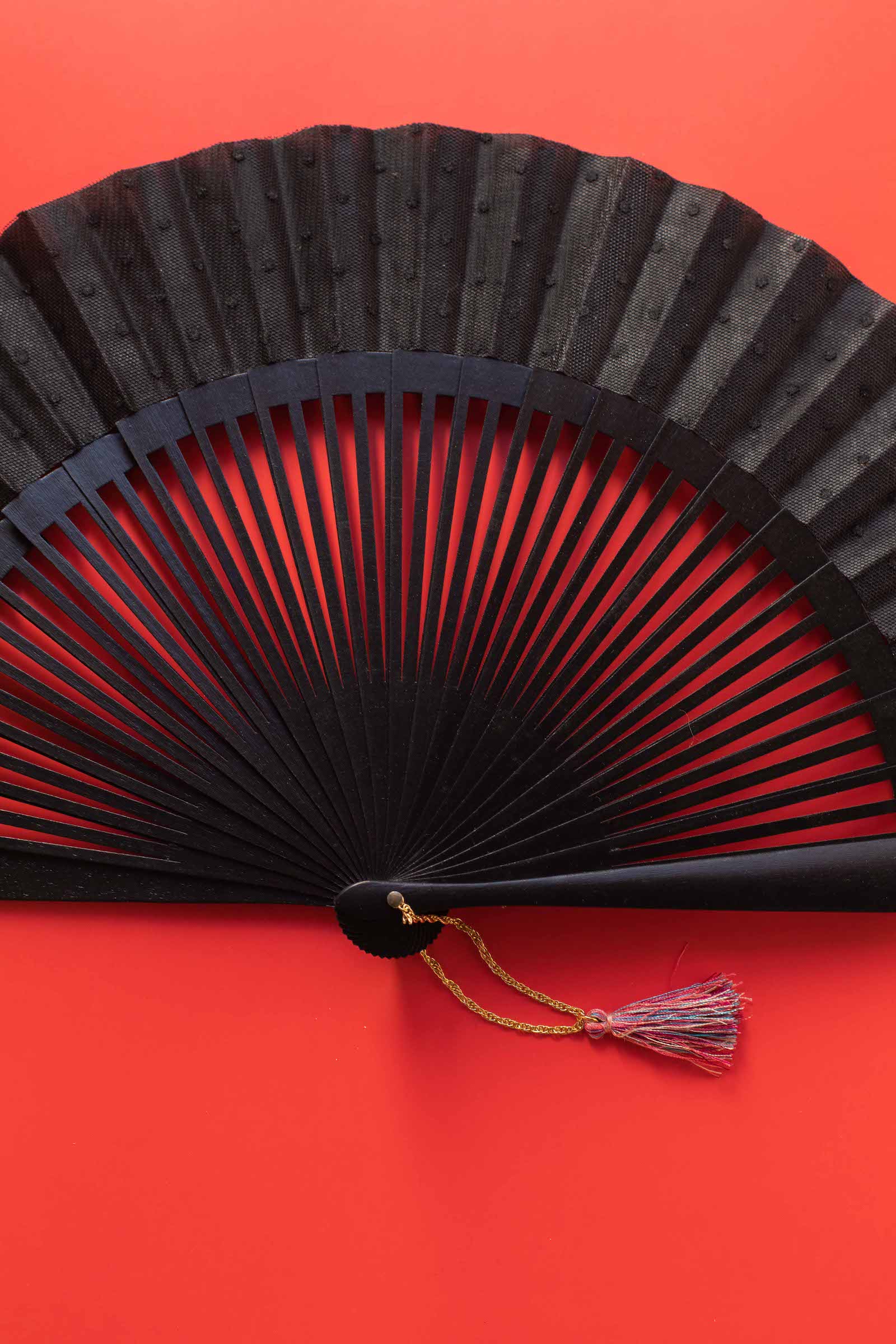 Vega 6